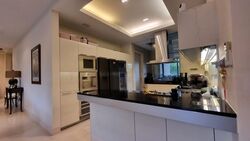 Parkview Eclat (D10), Condominium #479924501